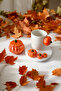 Pumpkin Themed Coffee Cup Presentation - 2