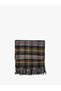 Tasseled Plaid Multicolor Long Scarf - 2