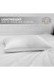 Cotton Sateen Pillow- 1000grams , Silver Cord  Double Piping , 50 x 75 cm - 4