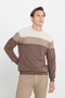 Men's Beige-Brown Warm Colorblock Patterned Knitwear Sweater Standard Fit Crew Neck