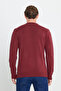 Men's Burgundy-navy blue Standard Fit Regular Cut Crew Neck Honeycomb Patterned Knitwear Sweater - 5