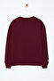 Burgundy Embroidered Regular Fit Thick Fleece Lined Knitted Sweatshirt Twoaw25Sw00176 - 8