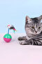 Movable Cat Ball - Mouse Pilgrim Sleeping Kitten Toy, Pet Shop Product - 7
