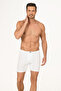 Beyaz Uzun Arjantin Boxer