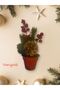 1 Piece 20 cm Coniferous Tree Cobalt Ilı Kokina Red Berry - 3