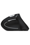 MS550GT Wireless Kablosuz Optik Dikey Mouse - 3