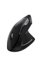 MS550GT Wireless Kablosuz Optik Dikey Mouse - 2