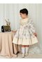 Mint Green Long Sleeve Vintage Baby Dress,Birthday Dress,Photography Shoot Dress,Suitable for 0-12 Years Old - 3