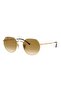 RAY BAN Unisex IRREGULAR Sun- RB 3565 - lense size:53mm - ARISTA