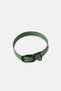 Dog Collar, Dark Green - 2