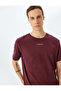 Slogan Printed T-Shirt Crew Neck Short Sleeve Cotton