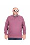 Plus Size Men's Polo Neck Sweatshirt - Purple 24408