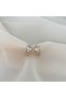 Rose Gold Steel Earrings with Premium Row Stones - 2