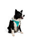 Cat Dog Air-Mesh Chest Harness and Travel Strap Set 2in1 Turquoise - 8