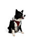 Cat Dog Air-Mesh Chest Collar and Travel Shipping Strap Set 2 in 1 Red - 8