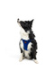 Cat Dog Air-Mesh Chest Collar and Travel Shipping Strap Set 2 in 1 Navy Blue - 8