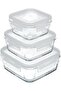 Feyzade Set of 3 Glass Storage Containers with Lock - Fresco Square (1150Cc-720Cc-375Cc)