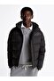Winter Jacket