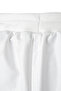 New Planting Ribbed Patient Panties - Flat Leg and Bladder Absorbing-(L) - 3