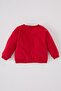 Baby Boy Crew Neck Printed Soft Furry Inside Sweatshirt D0707A524Wn - 4