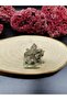 Crystal Quartz Raw Decorative Natural Stone with Stand (with Certificate) - 2