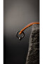 Men's Unisex Steel Hoop Earrings Do Not Rust or Tarnish - 2