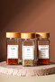 Tokyo - Tohana 12-Piece Glass Square Spice Rack with Bamboo Lid 125 ml with Sticker Gift - 3