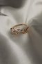 Vip Steel Minimal Series Zircon Stone and Baguette Stone Double Butterfly Model Adjustable Ring - 5