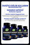Karamuk Kapsül (BERBERİN CAPSULE) - 4
