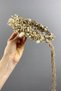 Bridal Outdoor Shooting Crown with Cream Cipsolu and Cotton Herb - 3