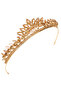 Crystal Stone Bridal Princess Crown Leaf Model Queen Crown Honey - 6