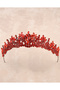 Crystal Embellished Bridal Tiara, Princess Tiara for Special Occasions and Parties, Red - 5
