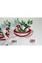 حقيبة صيدلية بيو ليتل هافان (15×25 سم) - 800 قطعة - 3