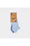 Boy's Basic Colorful Booties Socks Set