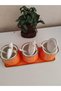 Tulip Orange Spice Set 380 ml