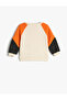 Sweatshirt Color Blocked Long Sleeve Crew Neck Textured - 2