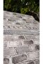 6 M2 Carpet Cover Savan - 5