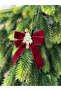 5 Burgundy Velvet Tree Decorated Bow - 2