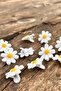 8 Pieces Daisy Collet Buckle Set - 2