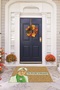 Digital Printed Non-Slip Base Washable Colorful Humorous Doormat (40X60Cm) - 9