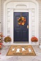 Digital Printed Non-Slip Base Washable Colorful Cat Doormat (40X60Cm) - 8