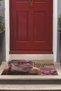 Digital Printed Non-Slip Base Washable Colorful Humorous Doormat (40X60Cm) - 4