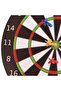 Magnetic Darts - 2