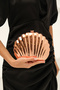 Women's Rose Metal Oyster Model Chain Detailed Evening Dress Evening Bag - 4