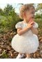 Baby Girl Child Short Sleeve Tulle Tutu Special Day Party Birthday Princess Satin Evening Dress - 7