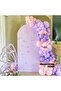 Balloon Set Lilac-Macaron Lilac-Macaron Salmon 60-Piece Balloon Chain Set