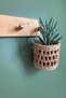 Decorative Multi-Purpose Natural Handmade Wicker Flower Pot Basket / 10X10Cm |   100% Local Artisanal Production - 5