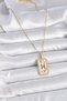 316L Steel Gold Color Chain Pisces Zodiac Sign Zircon Stone Women's Necklace Tj-Bko9463 - 2