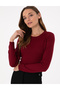 Claret Red Slim Fit Basic Sweater 50300769-Vr014 - 3
