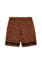 Brown Sports Shorts 62432381 - 2